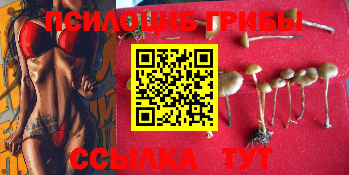 Галлюциногенные грибы GOLDEN TEACHER Кемерово